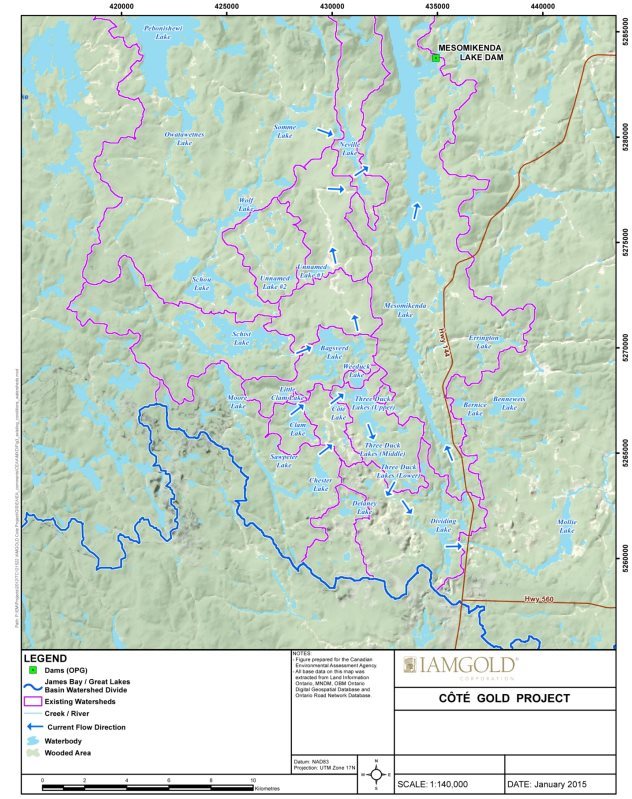 A map delineating local watersheds and existing water flow directions within the Mollie River and Mesomikenda Lake subwatersheds.