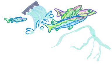 The hand drawn image is a graphic recording captured during RAWG meetings. It shows sturgeon impacted by dammed water.